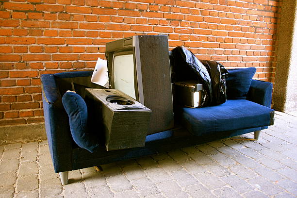 Best Professional Junk Removal  in Grand Rapids, MI